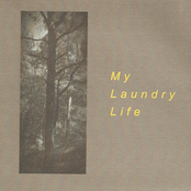 My Laundry Life