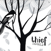 (like) Leaves by Thief