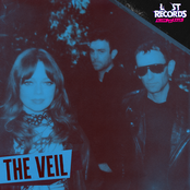 The Veil - Radio Version (From Lost Records: Bloom & Rage) - Single