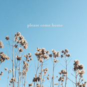 Please Come Home