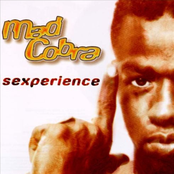 Mad Cobra: Sexperience