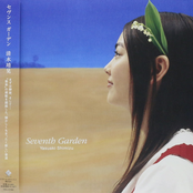 Yasuaki Shimizu: Seventh Garden