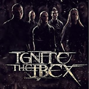Absorbing Free Will by Ignite The Ibex