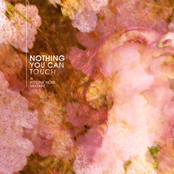 Nothing You Can Touch