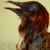 "Vice / Barbwire" [single]