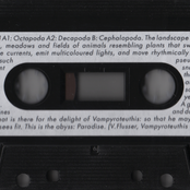 Residency Tape 3: Nika Son