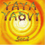 Seed