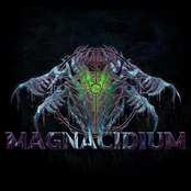 Magnacidium - Single