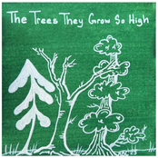 The Trees They Grow So High