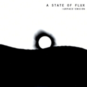 Skin Of The Teeth by A State Of Flux