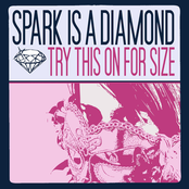 Try This On For Size by Spark Is A Diamond