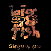 Sånger ur sten