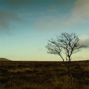 hibernate sampler volume 1