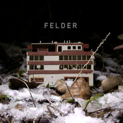 Felder