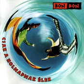 Csak a holnapnak élek