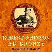 Southern Flood Blues by Big Bill Broonzy