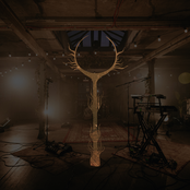 Live at the Biscuit Factory