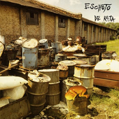 Neber Main de Bollos