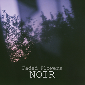 faded flowers