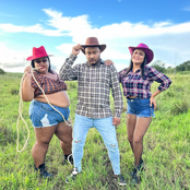 Carlinhos Me Chama Tu Não Vai Se Arrepender