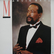 I Won't Cry Anymore by Marvin Gaye
