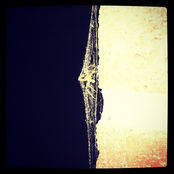 Wisdom Teeth/Sitka Split