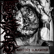Auditory Slaughter