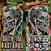 Shitnoise Bastards / Bone Ache