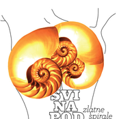 Zlatne spirale - Single