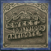 Sweet Oblivious Antidote (20th Anniversary Edition)