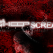 Black Sheep Screaming