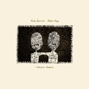 Andy Summers: I Advance Masked