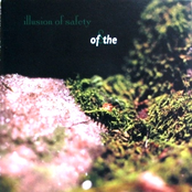 No Thing by Illusion Of Safety