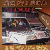 Ffwd To Dub by Mad Professor & Joe Ariwa