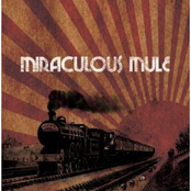 Downbound Train by Miraculous Mule