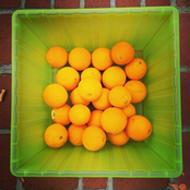 Best Damn Day of My Life