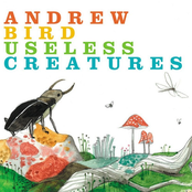 Dissent by Andrew Bird