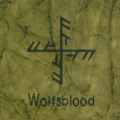 Cумерки Мира