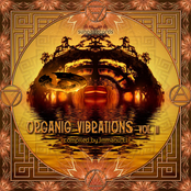 Organic Vibrations Vol. II