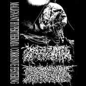 CORROSIVE FESTERING SPLIT