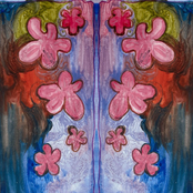 Critter: Cats, Snakes, Geckos