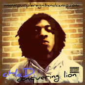 Conquering Lion
