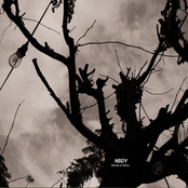 Woods & Wires