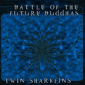 Twin Sharkfins