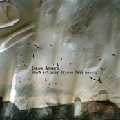 Don't Let Your Dreams Fall Asleep