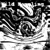 wild hemmling