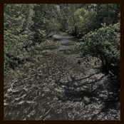 there is only the forest, and there is only surrender