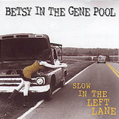 Slow in the Left Lane