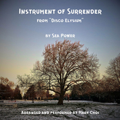 Instrument of Surrender (from "Disco Elysium")