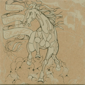 Polar Bears: The Future King